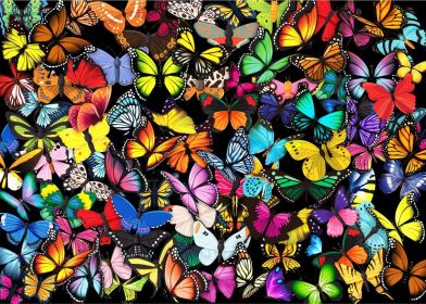 Unique Butterflies Jigsaw Puzzles 1000 Piece