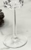 Oval Halo Plastic Champagne Flutes Set of 4 (4oz)